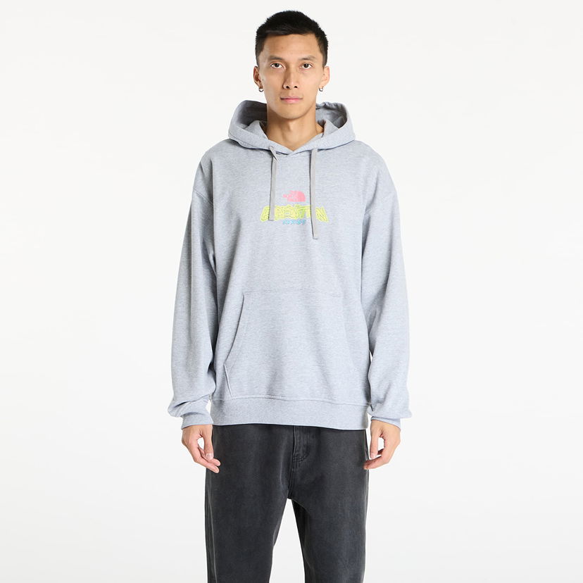 Huppari The North Face Expedition Celebration Oversized Hoodie Harmaa | NF0A8E3FDYX1