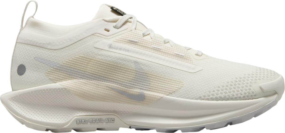 Tennarit ja kengät Nike Pegasus Trail 5 GORE-TEX Beige | fq0912-102, 0