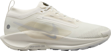 Tennarit ja kengät Nike Pegasus Trail 5 GORE-TEX Beige | fq0912-102, 0