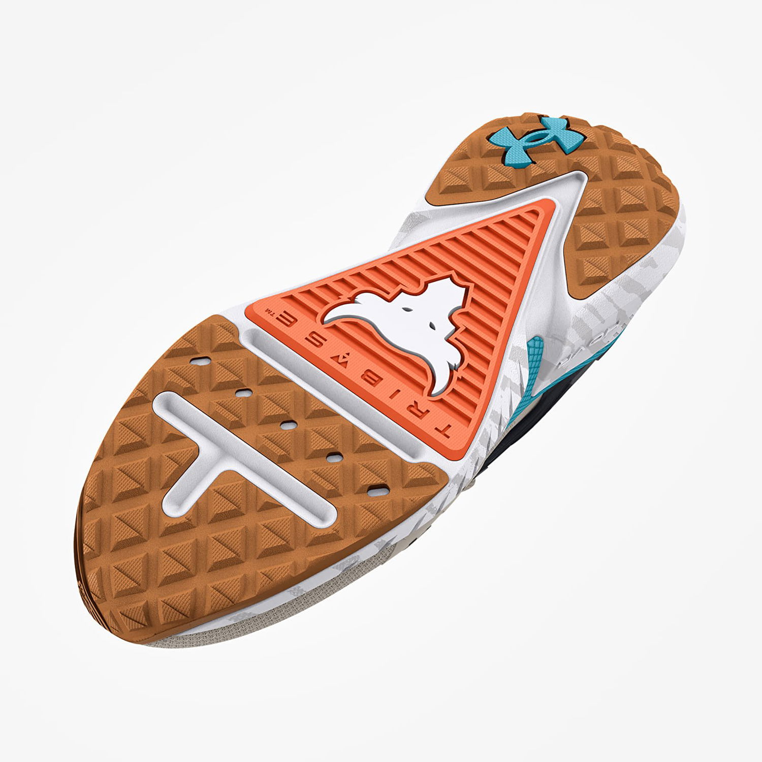 Tennarit ja kengät Under Armour Project Rock 5 W Harmaa | 3025436-101, 1