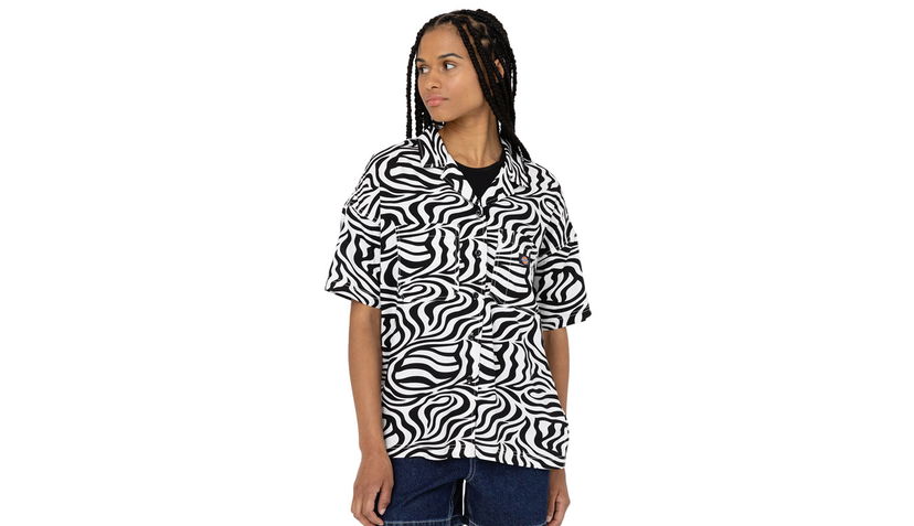 T-paita Dickies Leesburg Cloud Zebra Monivärinen | DK0A4Y7TF31