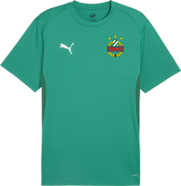 Puma SK Rapid Wien Training T-Shirt