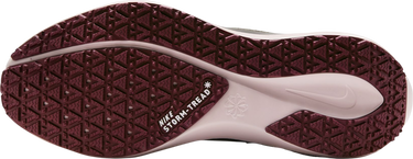 Tennarit ja kengät Nike Pegasus 41 GORE-TEX Burgundia | fq1357-200, 4