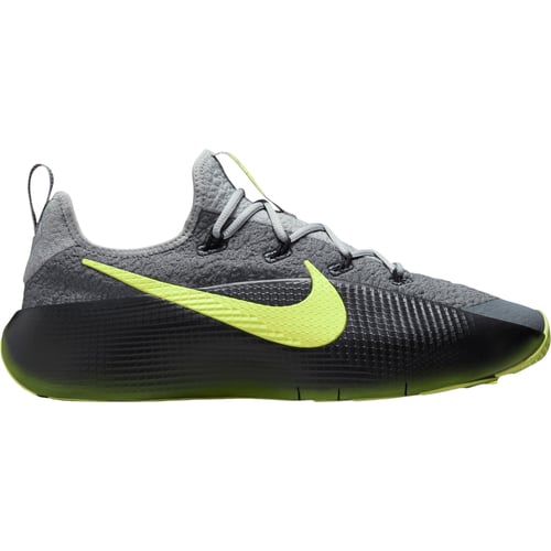 Koripallo Nike Lebron Royalty Tr Harmaa | FJ6151-001
