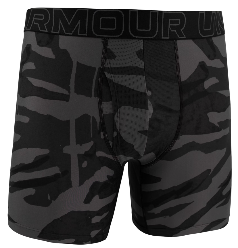 Nyrkkeilijät Under Armour Under Armour Graphic 6" Boxer Shorts Harmaa | 1383875-004