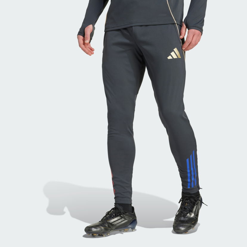 Verryttelyhousut adidas Performance Olympique Lyon Tiro 25 Competition Training Pants Harmaa | JL7707
