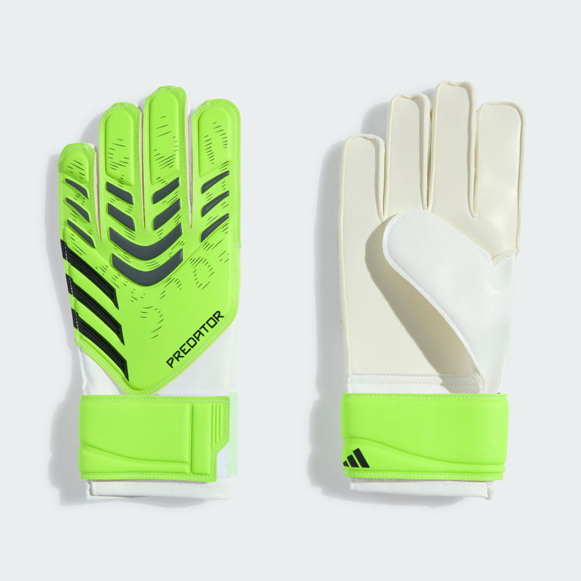 Käsineet adidas Performance Predator Training Goalkeeper Gloves Vihreä | JN5362