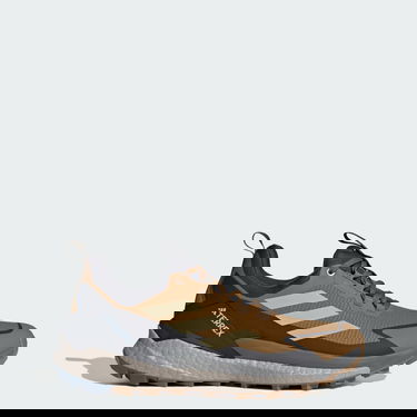 Tennarit ja kengät adidas Performance Terrex Free Hiker 2.0 Low Gore-Tex Ruskea | JP5611, 0