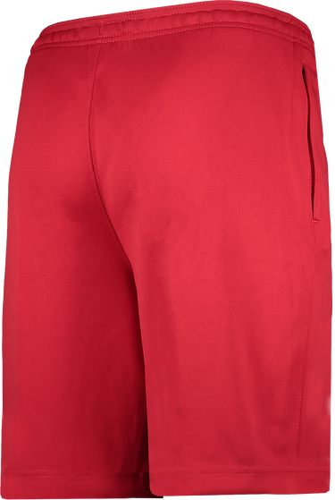 Shortsit Nike Nike Strike22 Shorts Punainen | dh9363-687, 1