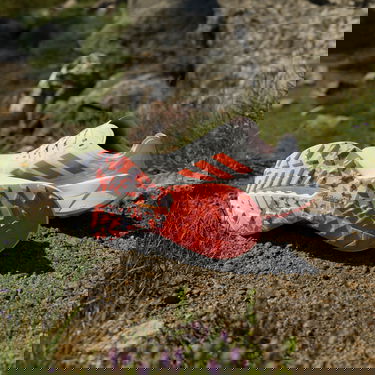 Tennarit ja kengät adidas Performance Terrex Agravic Speed Ultra Valkoinen | ih3764, 6