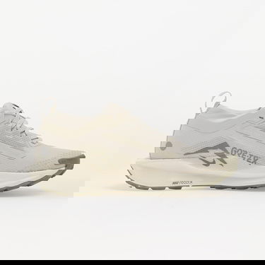Tennarit ja kengät Nike Pegasus Trail 5 Gore-Tex Beige | FQ0912-006, 2