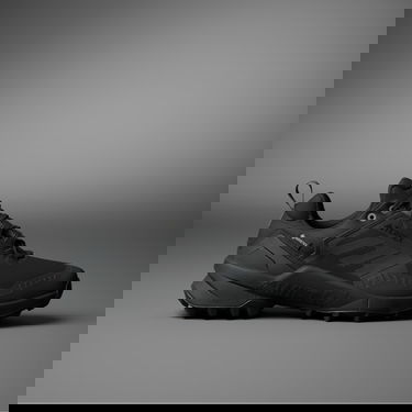 Tennarit ja kengät adidas Performance Terrex Swift R3 GTX Musta | IE7634, 0