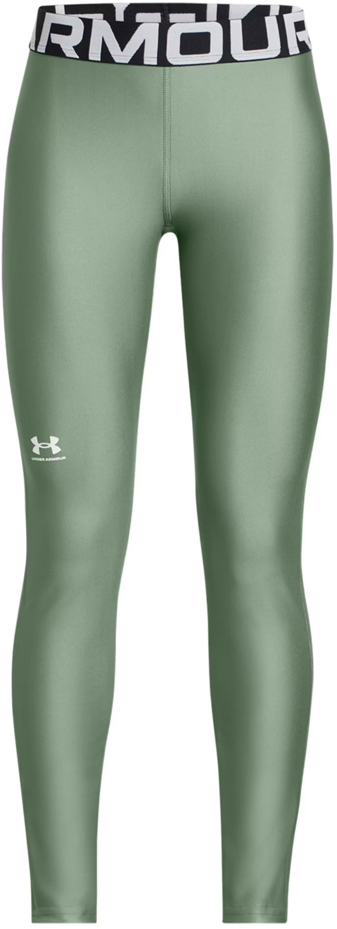 Leggingsit Under Armour Under Armour HG Leggings Vihreä | 1390069-348