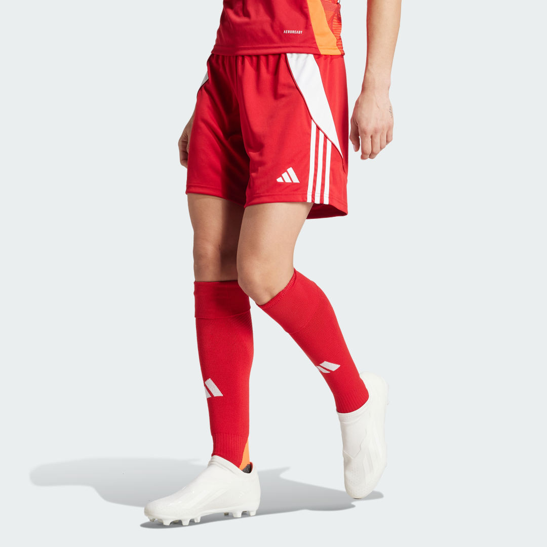 Shortsit adidas Performance Tiro 24 Punainen | IR9373, 1