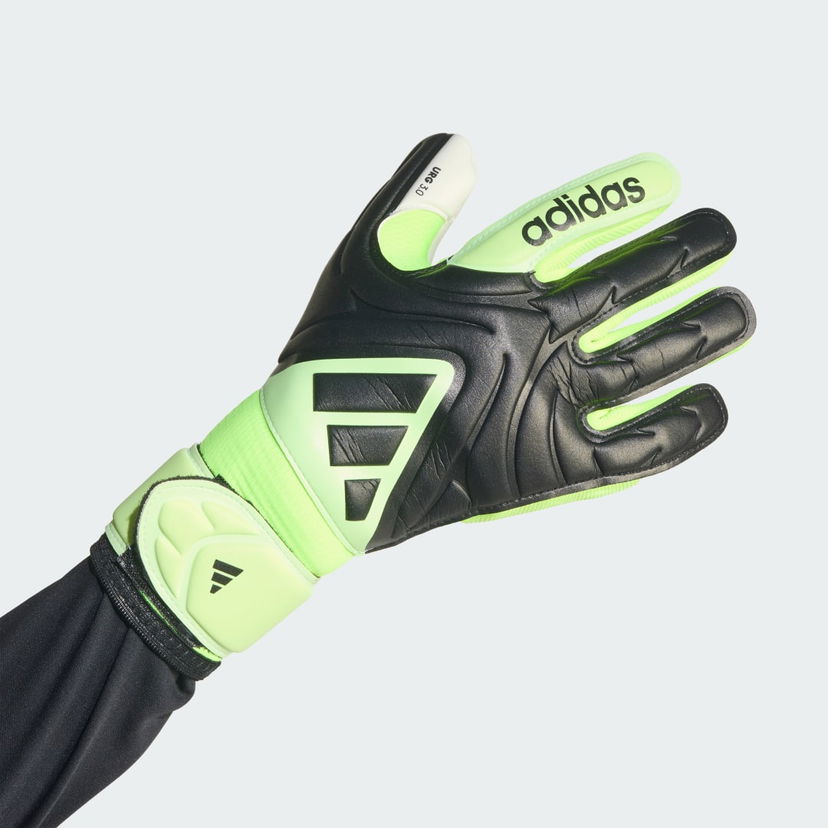 Käsineet adidas Performance Copa League Goalie Gloves Vihreä | JN5345