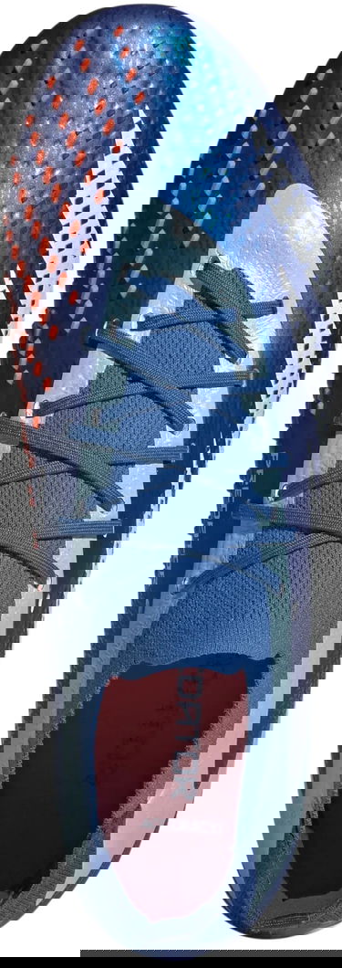 Tennarit ja kengät adidas Performance PREDATOR ACCURACY.1 L FG Sininen | gz0031, 1