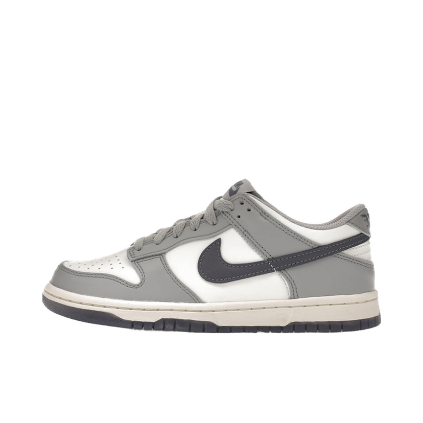 Tennarit ja kengät Nike Dunk Low Harmaa | FB9109-101