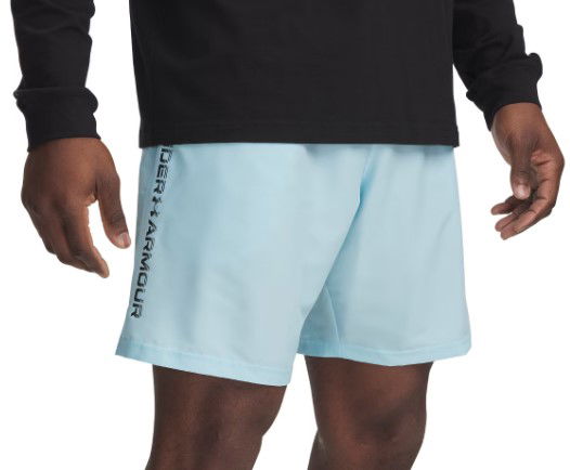 Shortsit Under Armour UA Tech Woven Wordmark Shorts Sininen | 1383356-494