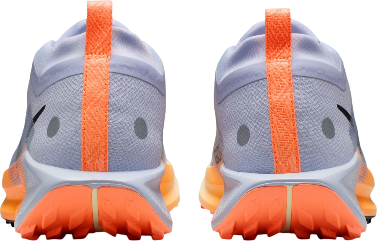 Tennarit ja kengät Nike Pegasus Trail 5 GORE-TEX Monivärinen | fq0908-011, 1