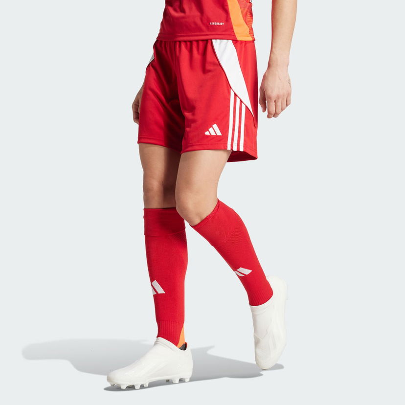 Shortsit adidas Performance Tiro 24 Punainen | IR9373