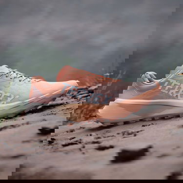Tennarit ja kengät adidas Performance Terrex Agravic 3 Trail Running Oranssi | IG6582, 1
