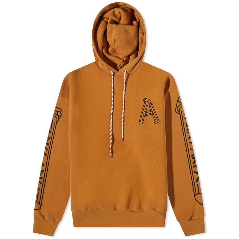 Huppari Aries Aries Column Hoody Ruskea | FTAR20010-CML