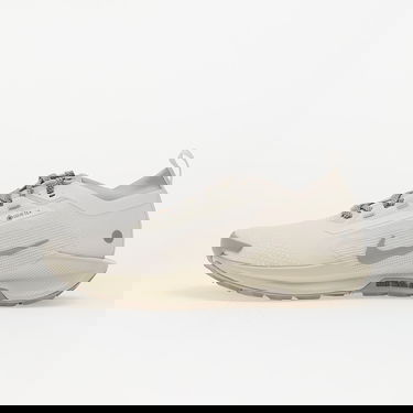 Tennarit ja kengät Nike Pegasus Trail 5 Gore-Tex Beige | HQ7494-100, 0