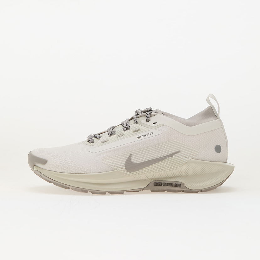 Tennarit ja kengät Nike Pegasus Trail 5 Gore-Tex Beige | HQ7494-100