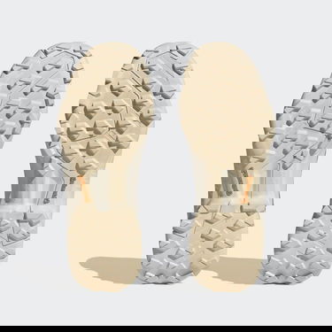 Tennarit ja kengät adidas Performance Terrex Swift R3 GORE-TEX Beige | HR1315, 2