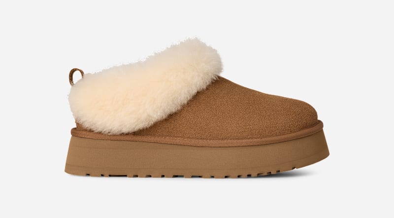 Tennarit ja kengät UGG Tazzelle Slippers Ruskea | 1171393-CHE