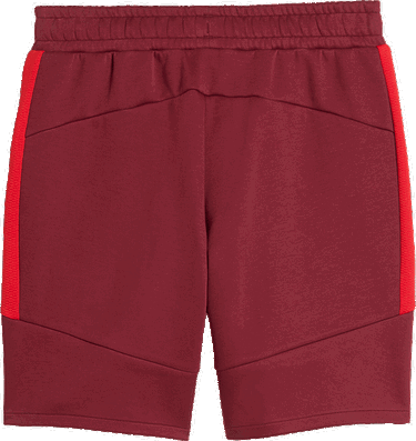 Shortsit Puma Red Bull Salzburg Evostripe Shorts Burgundia | 781769-10, 2