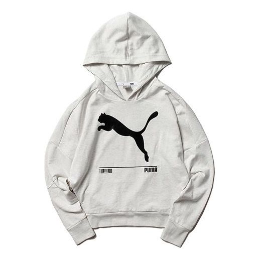 Huppari Puma Nu-tility Hoodie Harmaa | 582780-19, 0