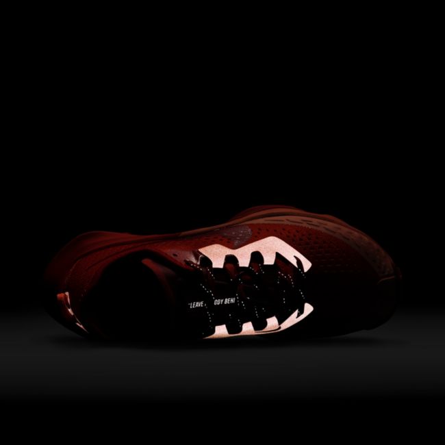 Tennarit ja kengät Nike Air Zoom Terra Kiger 7 W Oranssi | DM9469-800, 1