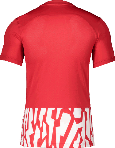 Jersey Nike Nike DF GX1 Jersey Punainen | dr2713-657, 1