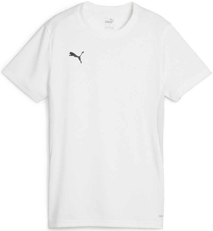 Jersey Puma Dres teamGOAL Jersey W Harmaa | 658638-04