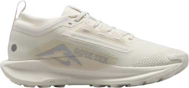Tennarit ja kengät Nike Pegasus Trail 5 GORE-TEX Beige | fq0912-102, 3