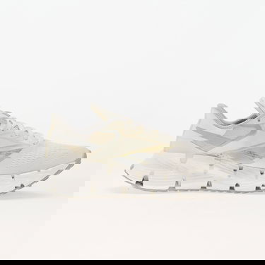 Tennarit ja kengät Reebok Floatzig 1 Chalk/ Alabaster/ Grey1 Valkoinen | 100206730, 2