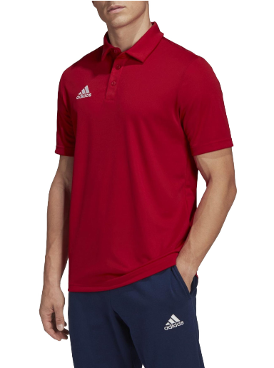 Poolopaita adidas Originals Entrada 22 Polo Punainen | h57489