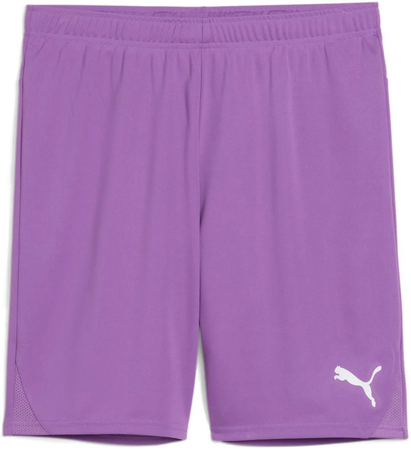 Shortsit Puma Puma teamGOAL Shorts Violetti | 705752-33