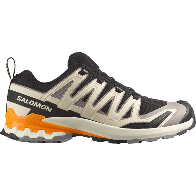 Tennarit ja kengät Salomon XA Pro 3D v9 Beige | L47882700