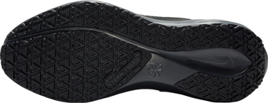 Tennarit ja kengät Nike Pegasus 41 GORE-TEX Musta | fq1357-001, 4