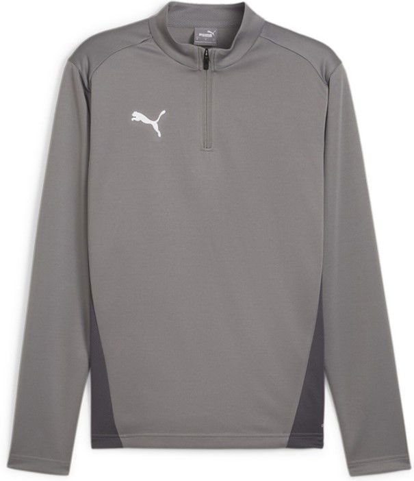 Huppari Puma teamGOAL Training 1/4 Zip Sweatshirt Harmaa | 658629-13