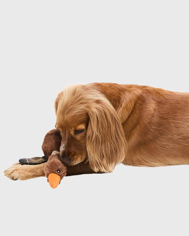 Keräilykelpoinen Barbour Plush Duck Toy with Plaid Detail Ruskea | DAC0117BR11, 1