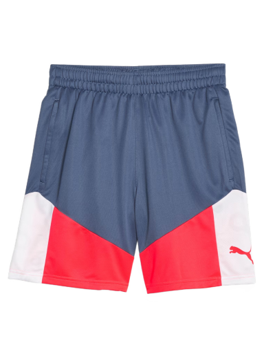 Shortsit Puma individualCUP Football Shorts Monivärinen | 658485-53