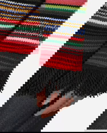 Villapaita Junya Watanabe Fringe Striped Crewneck Sweater Monivärinen | WJ-N009-W22  1, 5