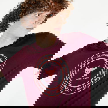 T-paita Under Armour Project Rock Globe Tee Burgundia | 1373746-600, 2