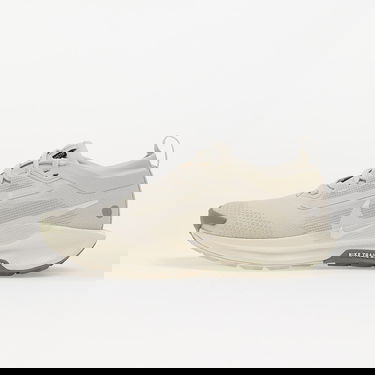 Tennarit ja kengät Nike Pegasus Trail 5 Gore-Tex Beige | FQ0912-006, 0