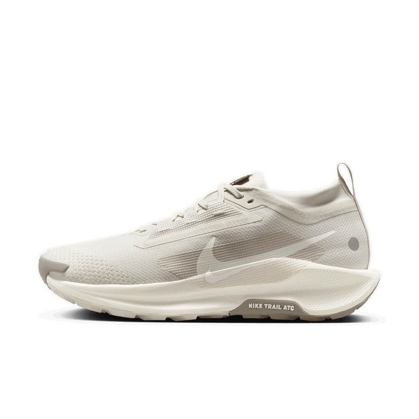 Tennarit ja kengät Nike Pegasus Trail 5 GORE-TEX Beige | FQ0908-008