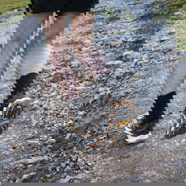 Tennarit ja kengät New Balance Fresh Foam X Hierro v7 Keltainen | mthierg7, 6