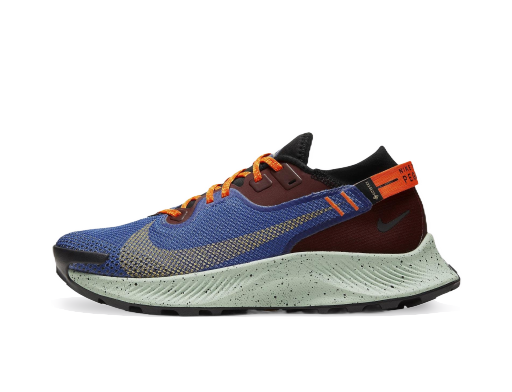 Juoksu Nike Pegasus Trail 2 GTX W Sininen | CU2018 600